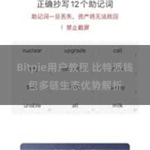 Bitpie用户教程 比特派钱包多链生态优势解析