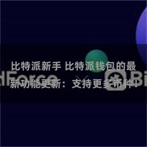 比特派新手 比特派钱包的最新功能更新：支持更多币种！
