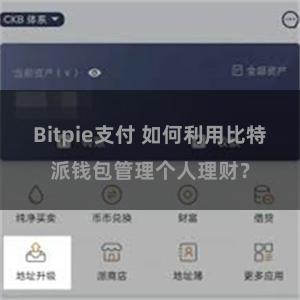 Bitpie支付 如何利用比特派钱包管理个人理财？