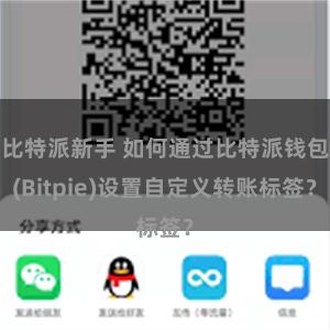 比特派新手 如何通过比特派钱包(Bitpie)设置自定义转账标签？