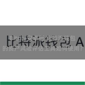 Bitpie安卓版 比特派钱包的资产风险评估工具如何使用？