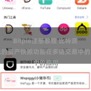 Bitpie注册教程 比特派钱包的资产快照功能在多链交易中的