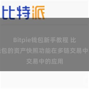 Bitpie钱包新手教程 比特派钱包的资产快照功能在多链交易中的应用