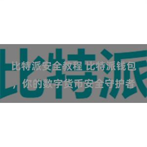 比特派安全教程 比特派钱包，你的数字货币安全守护者