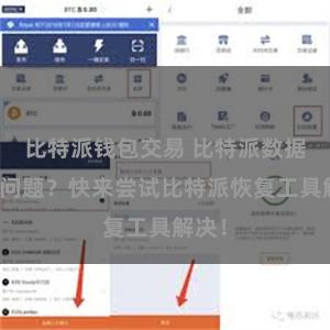 比特派钱包交易 比特派数据出现问题？快来尝试比特派恢复工具解