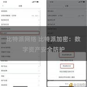 比特派网络 比特派加密：数字资产安全防护