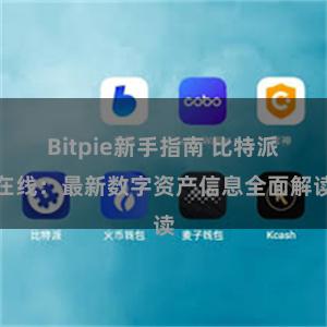 Bitpie新手指南 比特派在线：最新数字资产信息全面解读