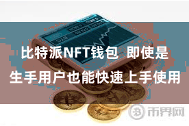 比特派NFT钱包 即使是生手用户也能快速上手使用