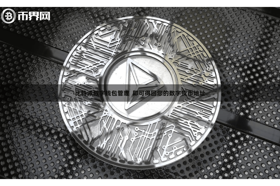 比特派数字钱包管理  即可得回您的数字货币地址