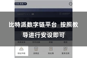 比特派数字链平台  按照教导进行安设即可