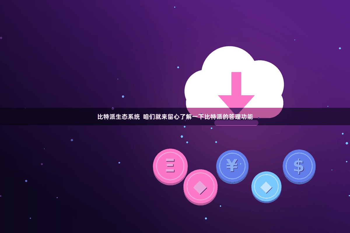 比特派生态系统  咱们就来留心了解一下比特派的答理功能